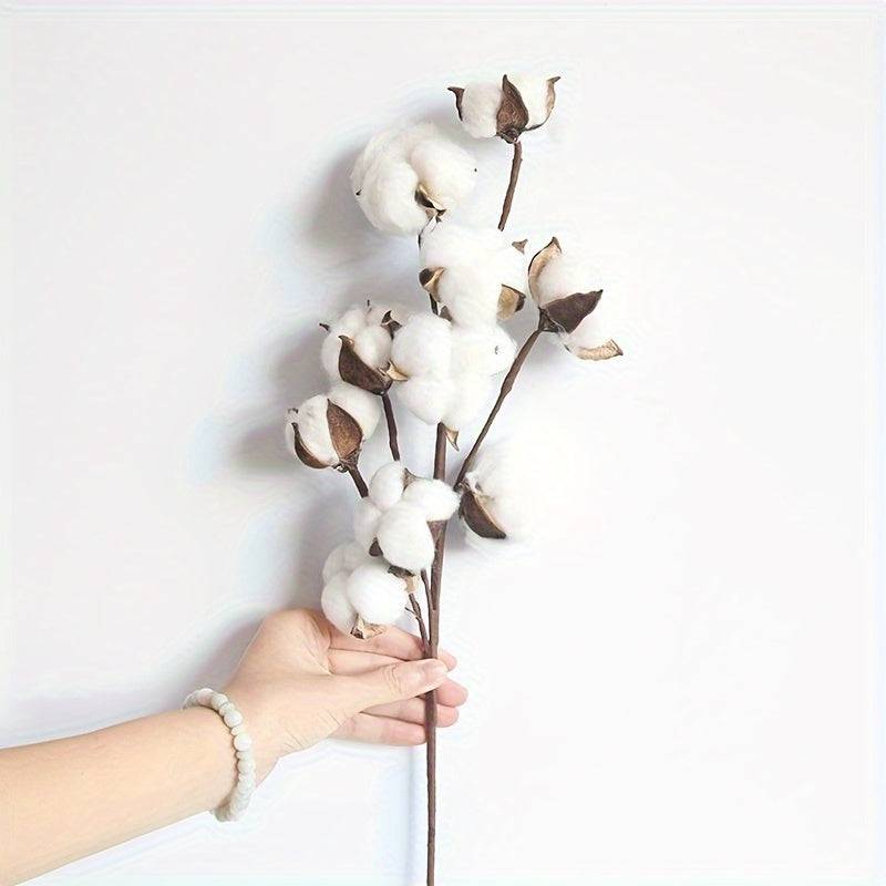 10 köpfiger ewiger Baumwollblumenstiel - für atemberaubende DIY-Blumenarrangements!